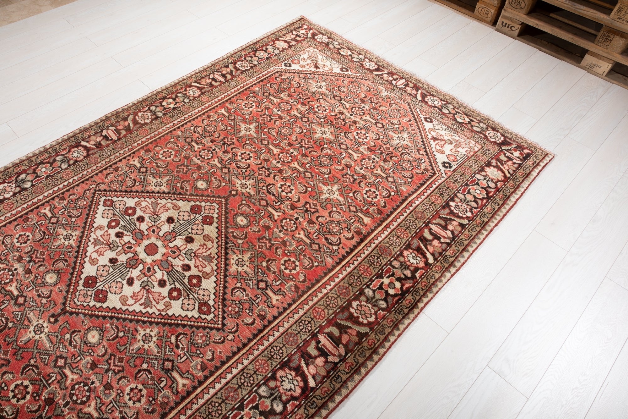 Hand-Knotted Vintage Wool Area Rug – 10' 3" x 5' 5" (312 × 164 cm) - Yasi & Fara