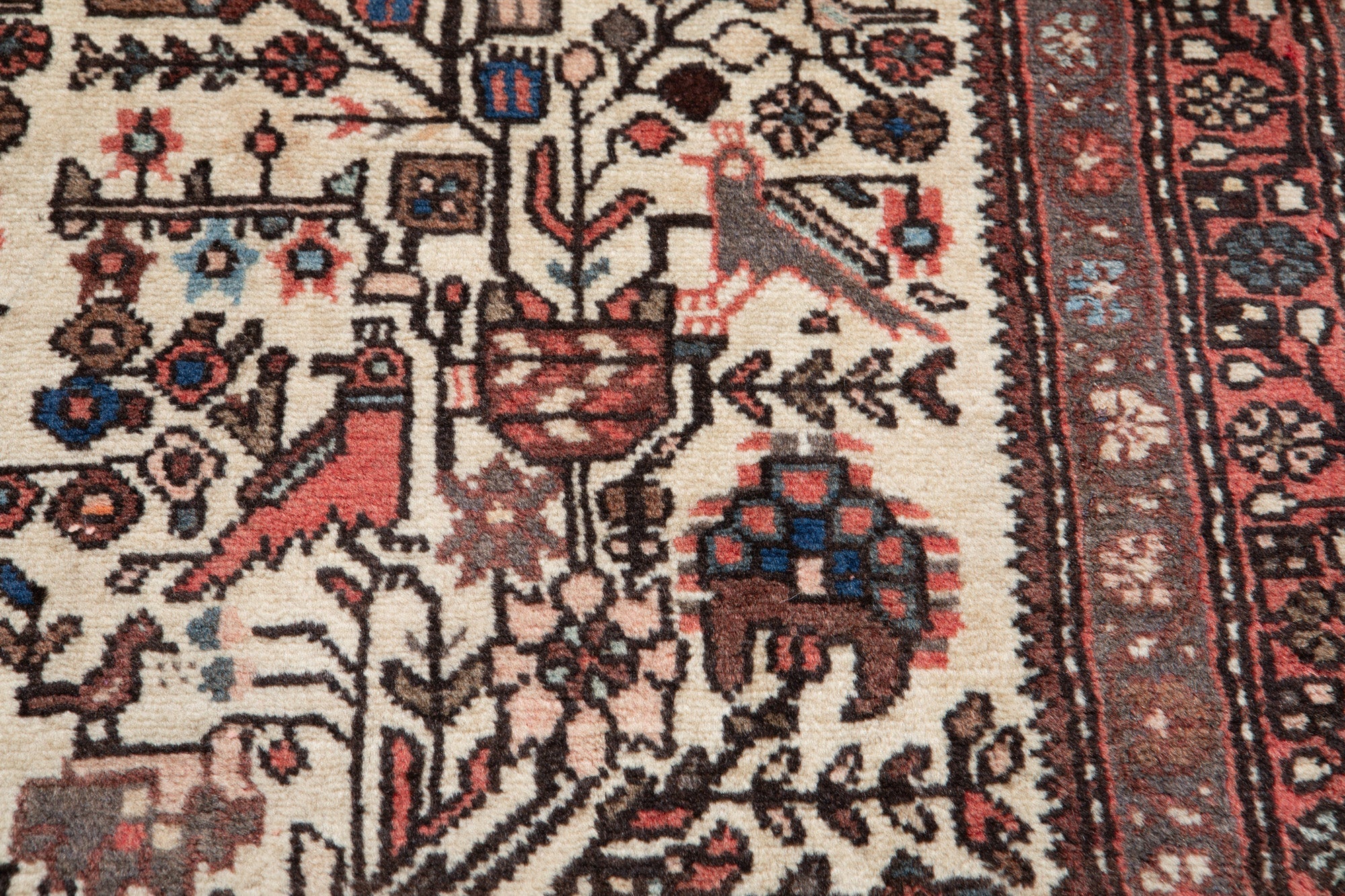 Hand-Knotted Vintage Wool Area Rug – 6' 5" x 2' 10" (195 x 87 cm) - Yasi & Fara