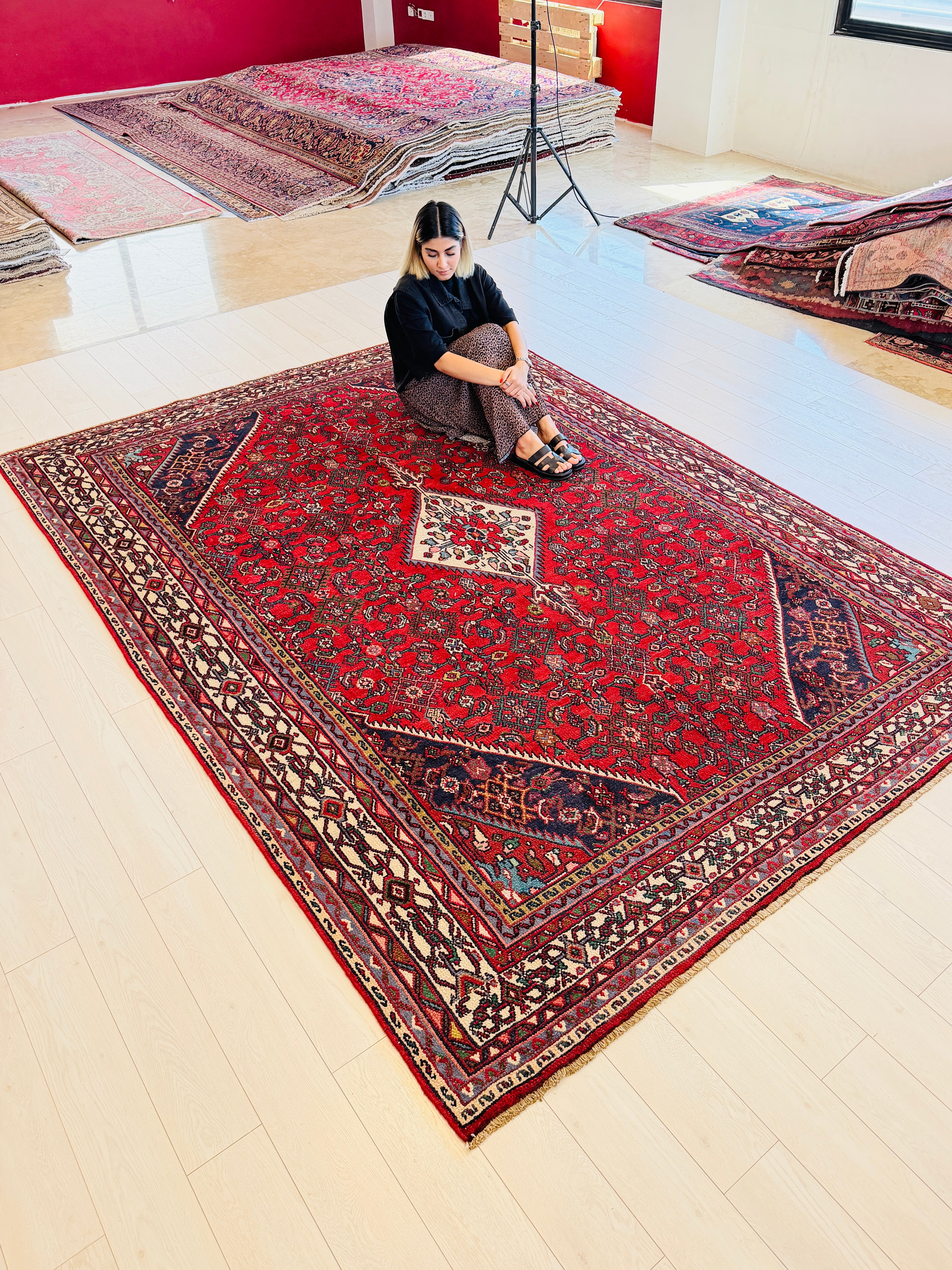 Vintage Red and beige Traditional Rug – 10' 3" x 7' 3" (312 x 222 cm)