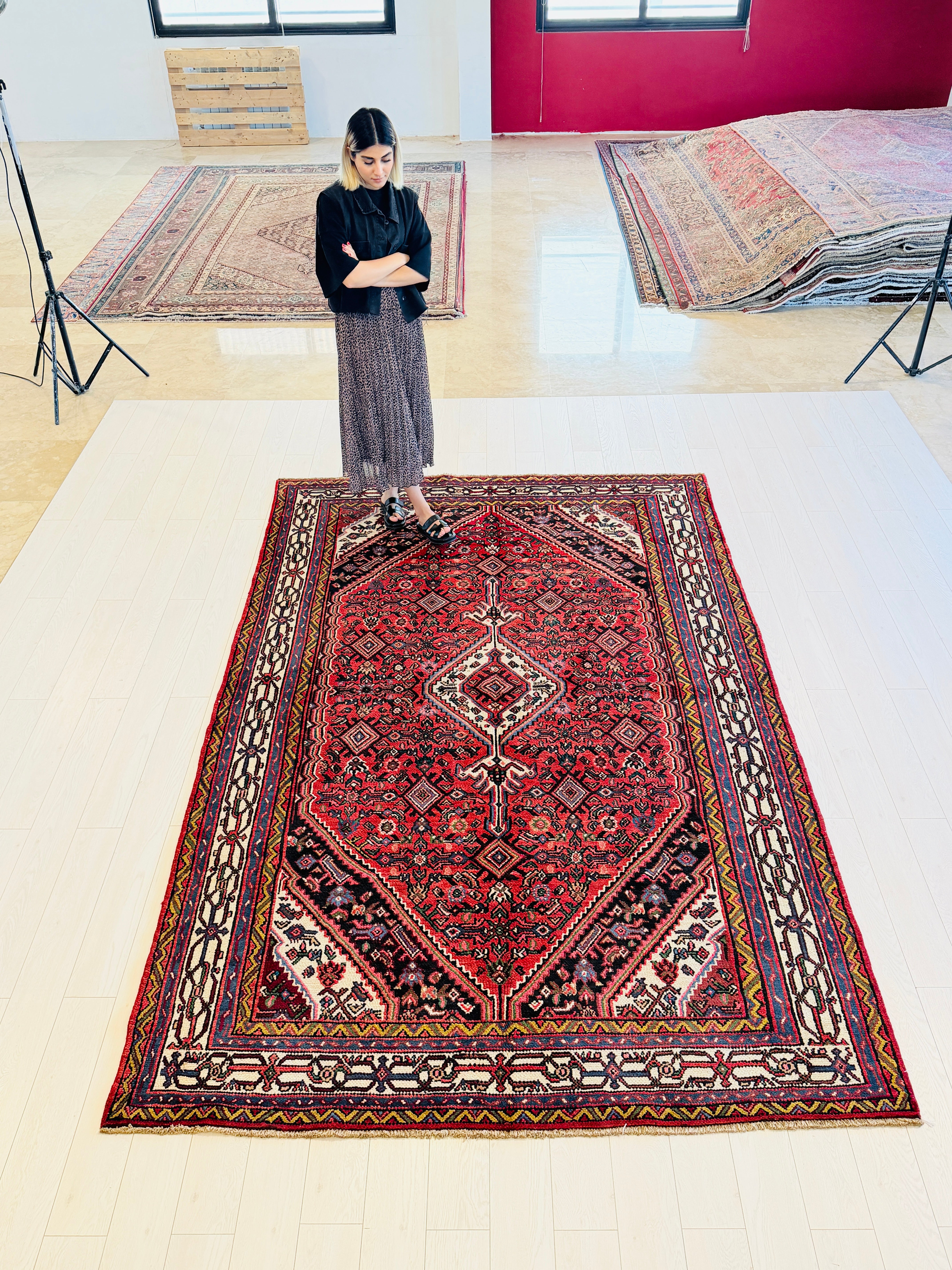 Vintage Red and beige Traditional Rug – 10' 4" x 6' 9" (315 x 205 cm)