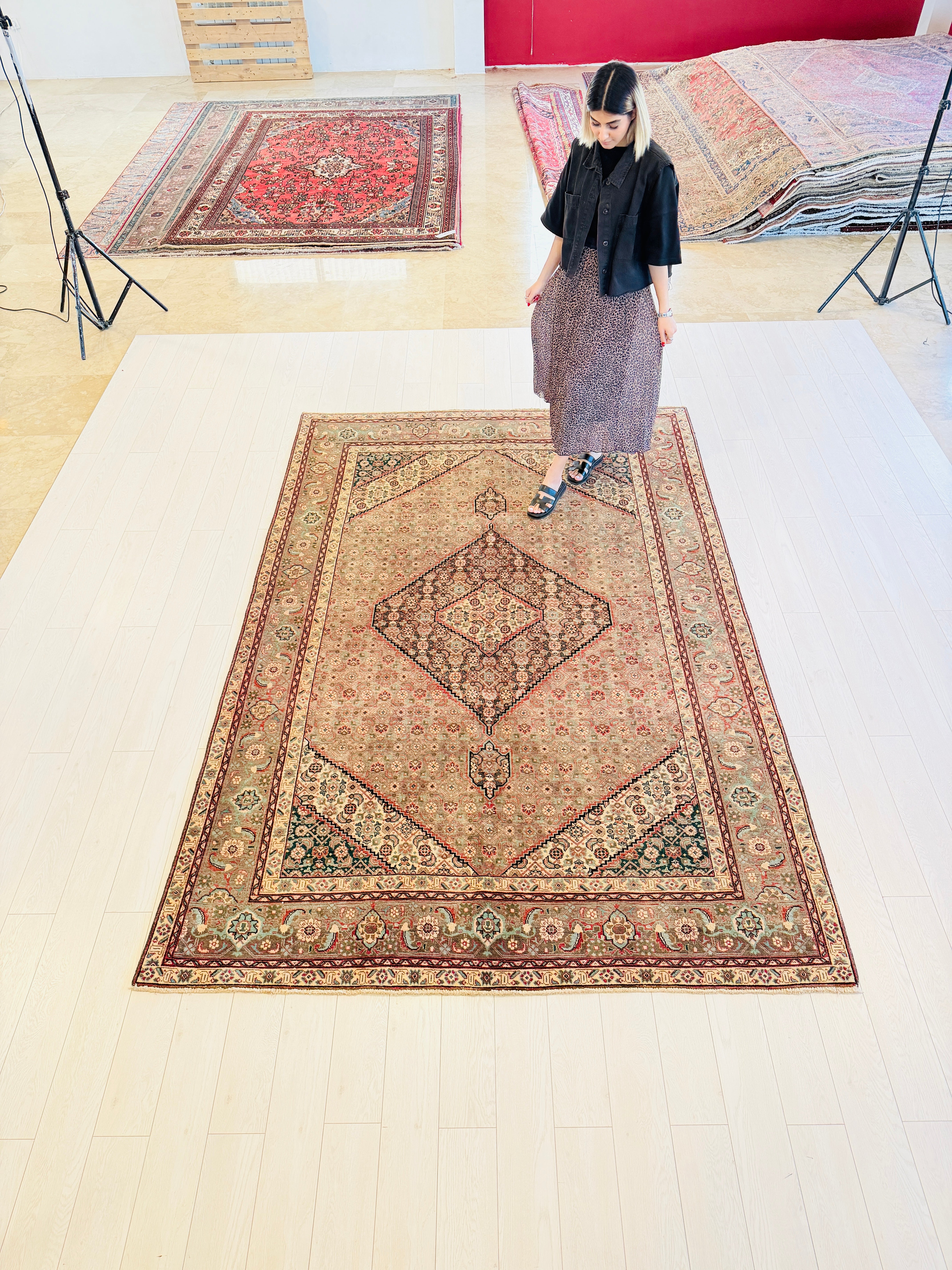 Vintage Muted gray and beige Traditional Rug – 9' 10" x 6' 7" (300 x 200 cm)
