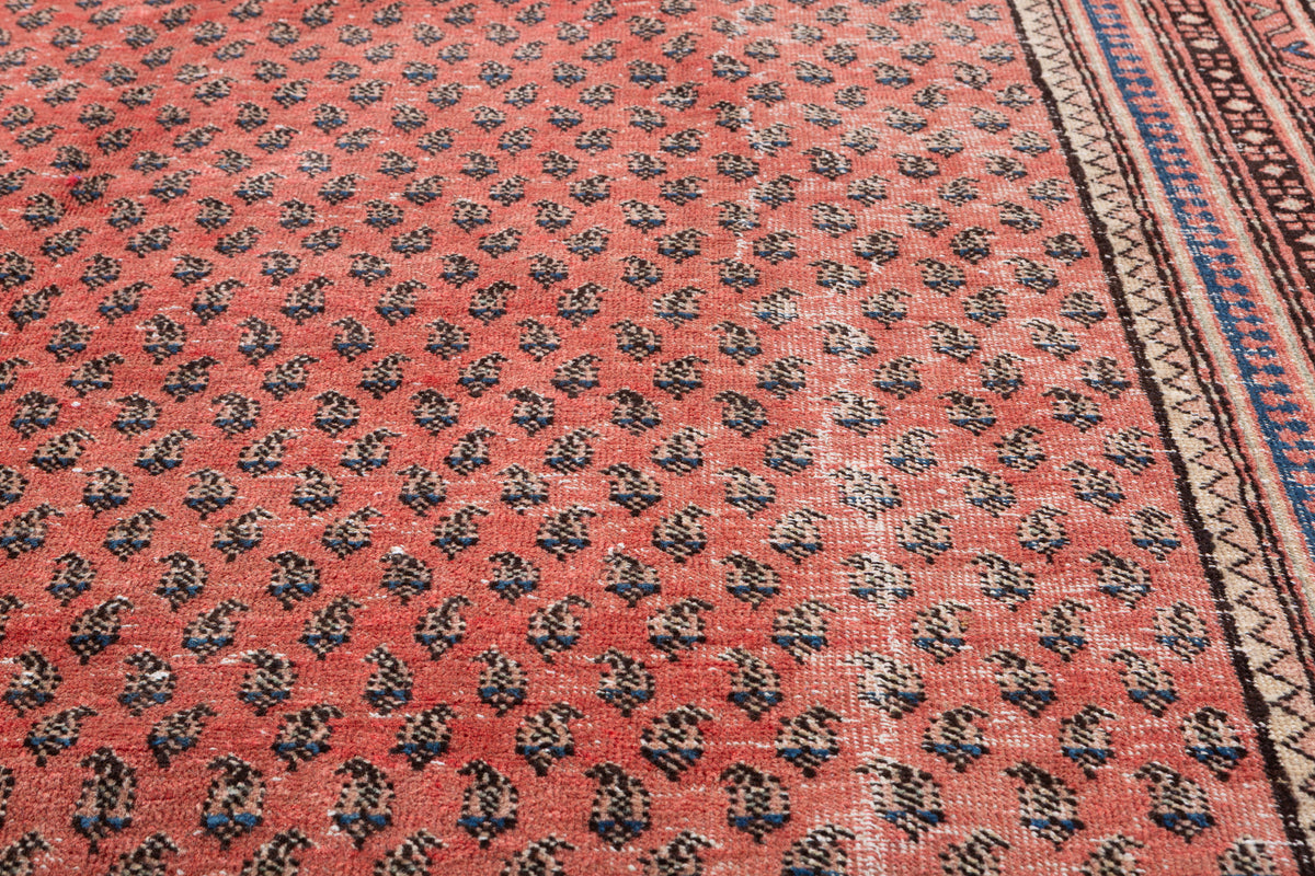 Vintage Red Allover Rug – 10' 0" x 6' 8" (305 x 203 cm)