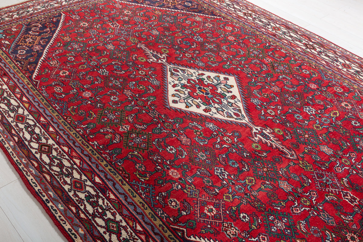 Vintage Red and beige Traditional Rug – 10' 3" x 7' 3" (312 x 222 cm)