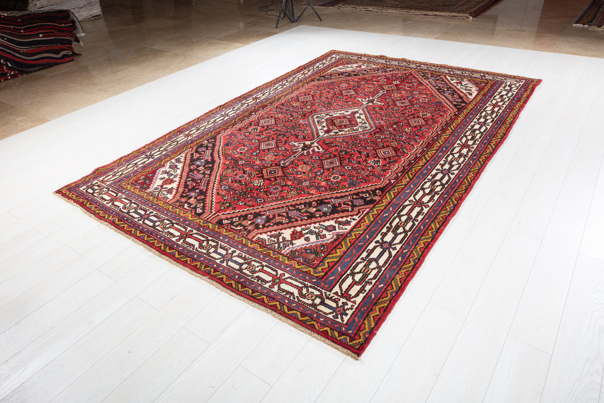 Vintage Red and beige Traditional Rug – 10' 4" x 6' 9" (315 x 205 cm)