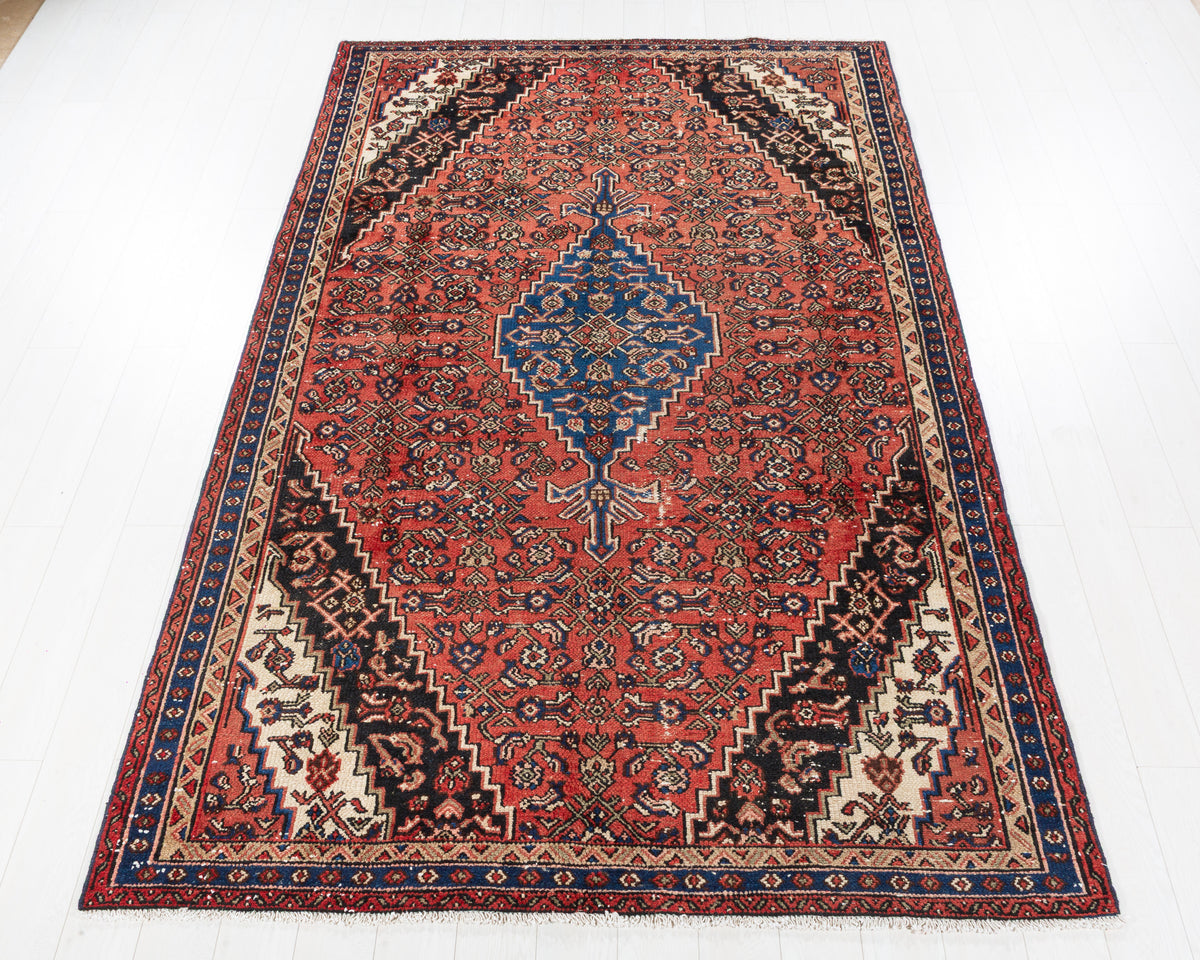 Vintage Hamadan Red and blue Floral Rug, 6x10 – 10' 0" x 6' 2" (305 x 189 cm) – main view