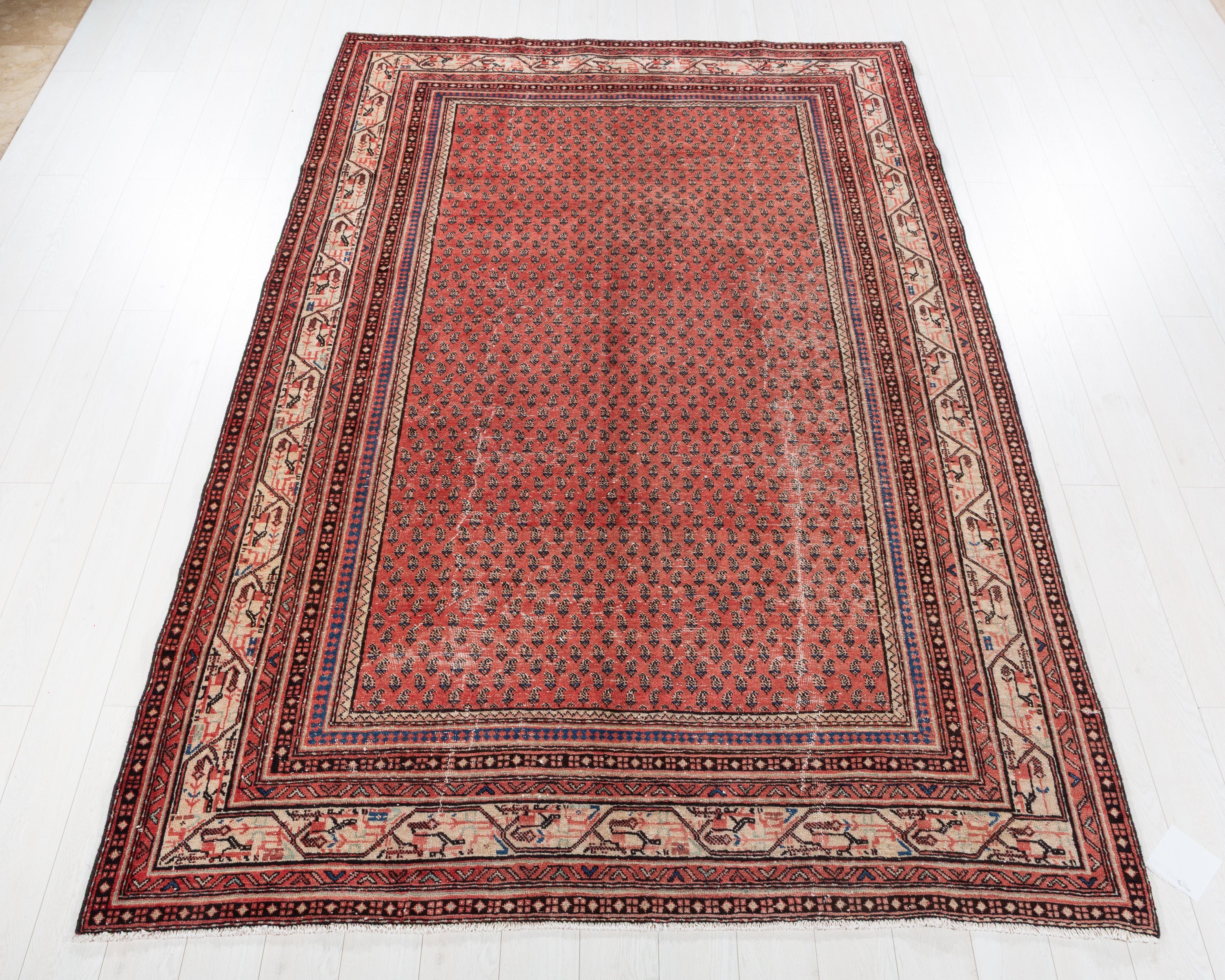 Vintage Sarouk Mir Red Allover Rug, 7x10 – 10' 0" x 6' 8" (305 x 203 cm) – main view