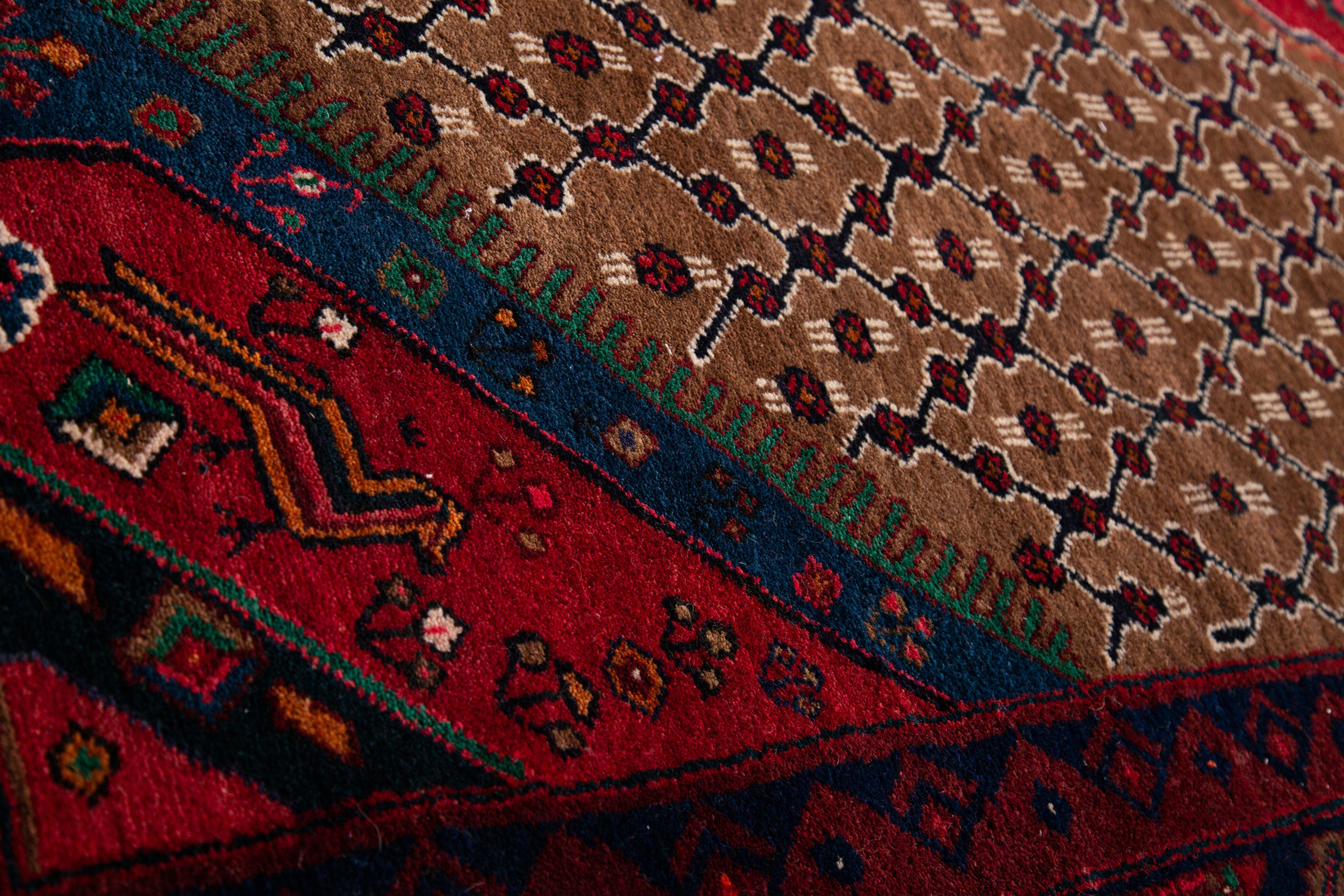 Hand-Knotted Vintage Wool Area Rug – 10' 7" x 5' 3" (323 x 159 cm) - Yasi & Fara