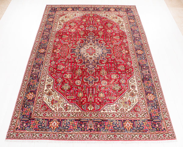 9' 7" x 6' 5" Excellent Hand-Knotted Antique Collectible Area Rug - Yasi & Fara 