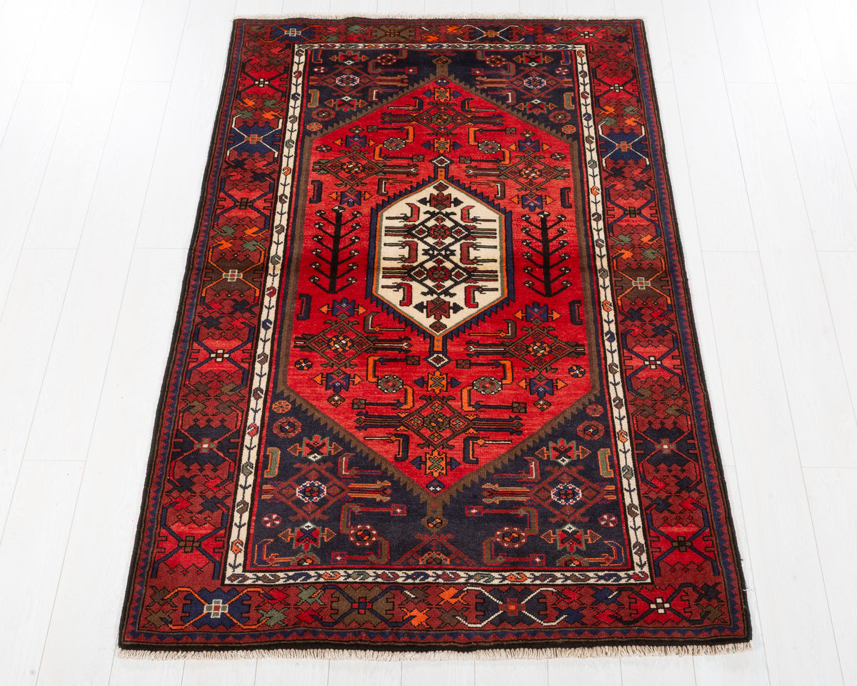 Vintage Zanjan Coral, Rust Red hand-knotted wool rug, SKU 5692