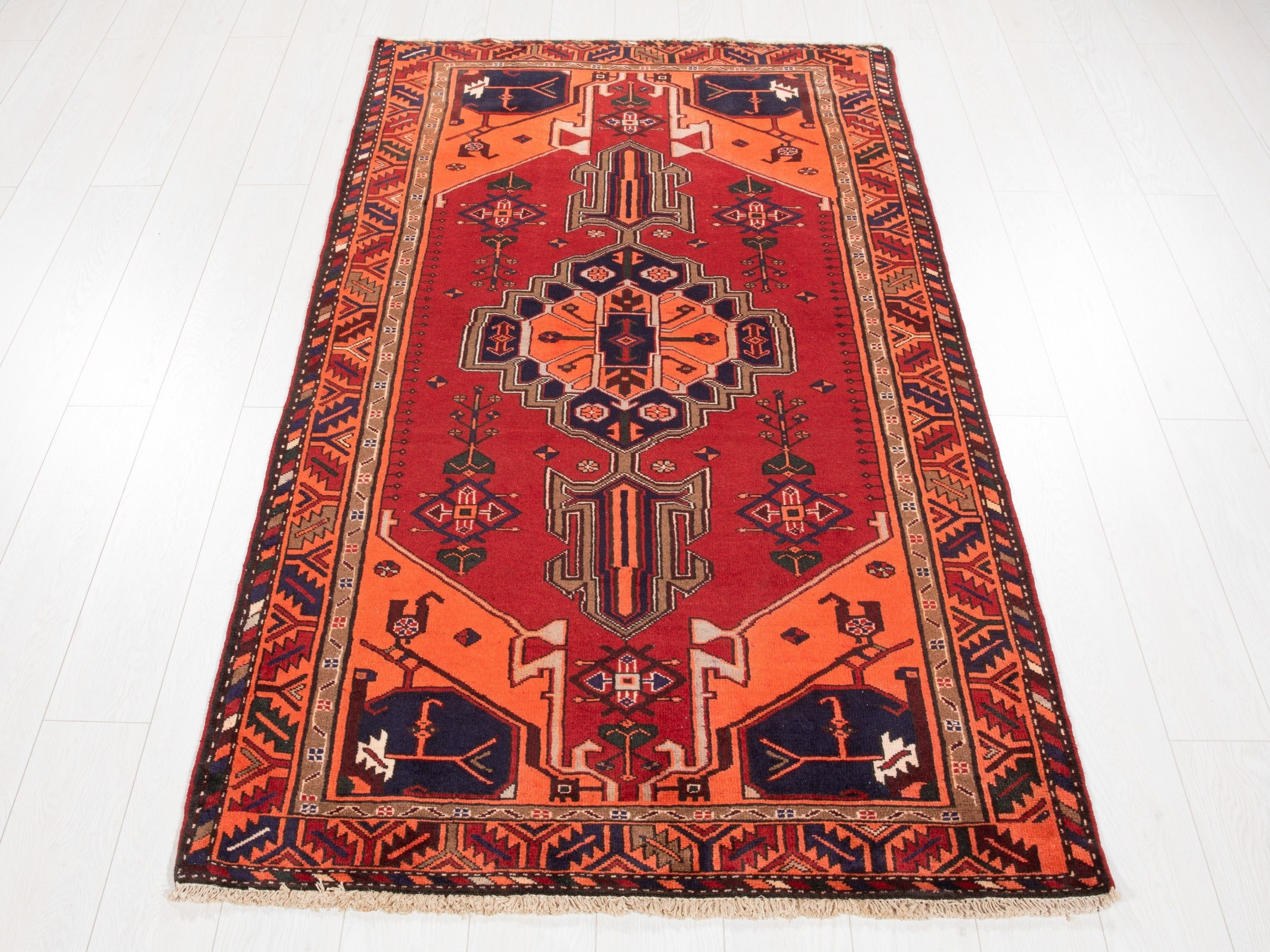 Straight-on full view of the rug on a white floor with fringe visible at both ends.