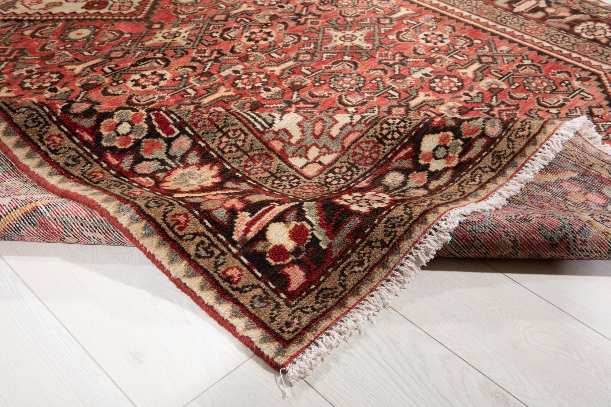 Hand-Knotted Vintage Wool Area Rug – 10' 3" x 5' 5" (312 × 164 cm) - Yasi & Fara