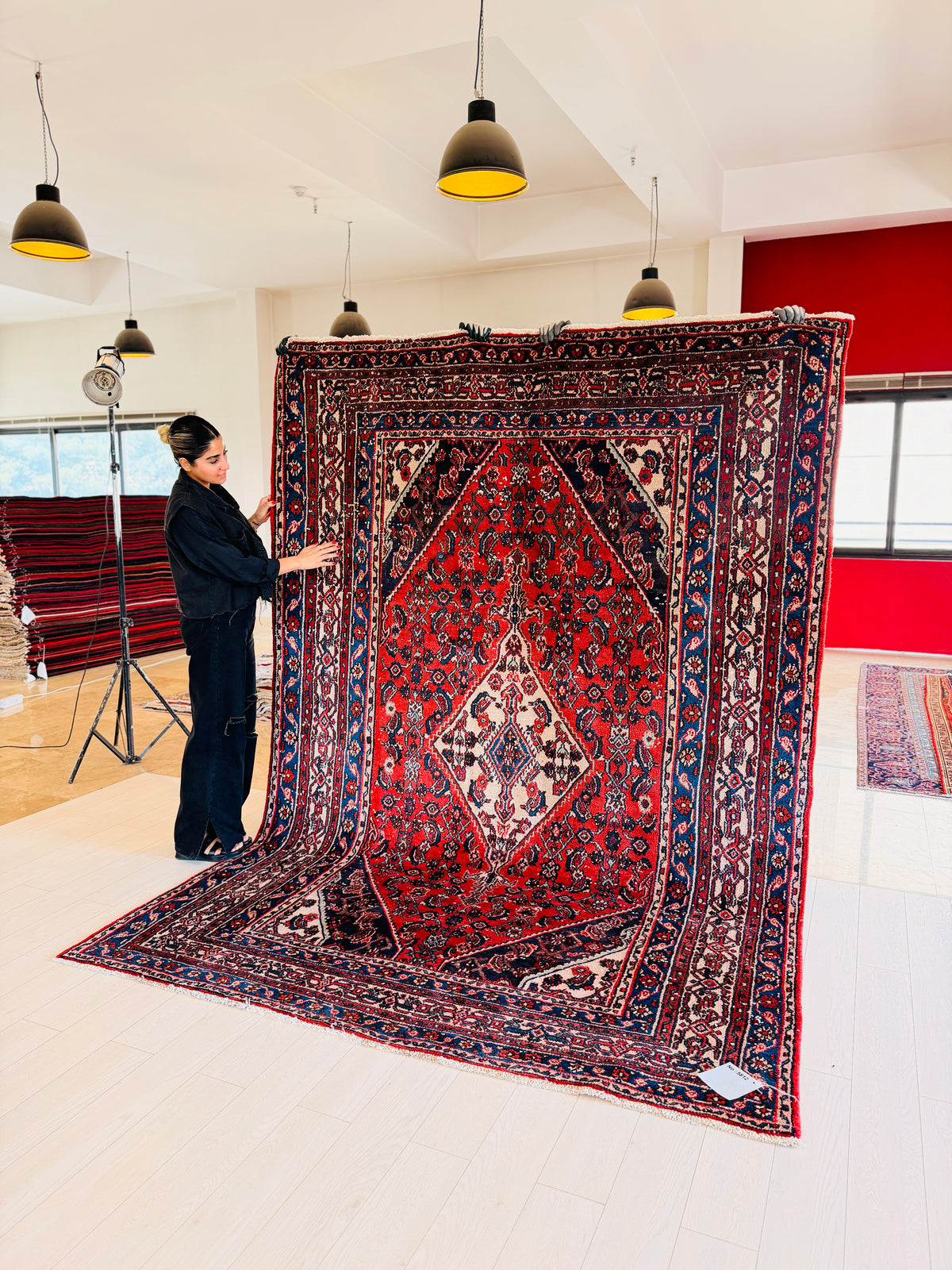 Vintage Red Geometric Rug – 9' 11" x 6' 10" (303 x 208 cm)