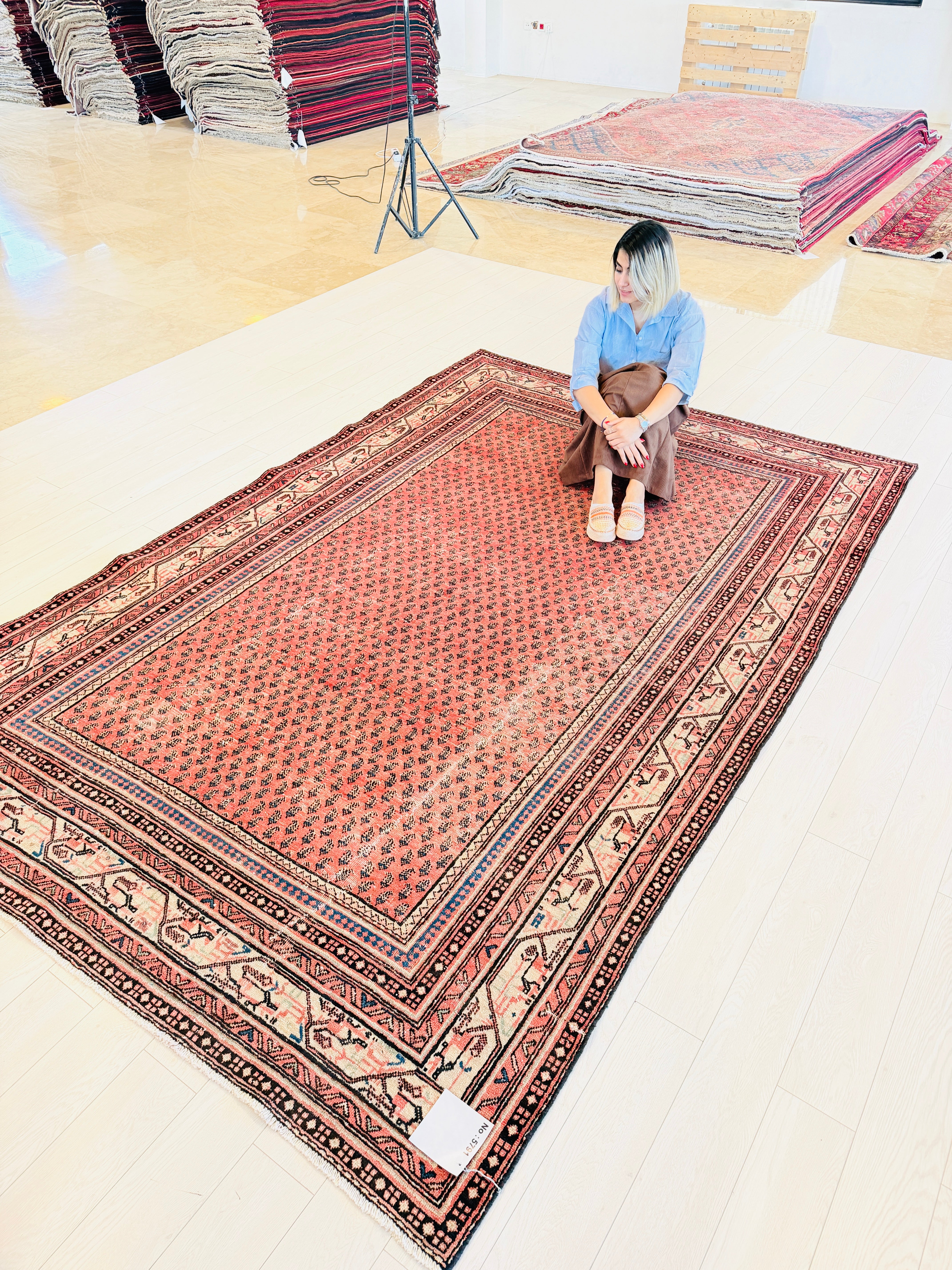 Vintage Red Allover Rug – 10' 0" x 6' 8" (305 x 203 cm)
