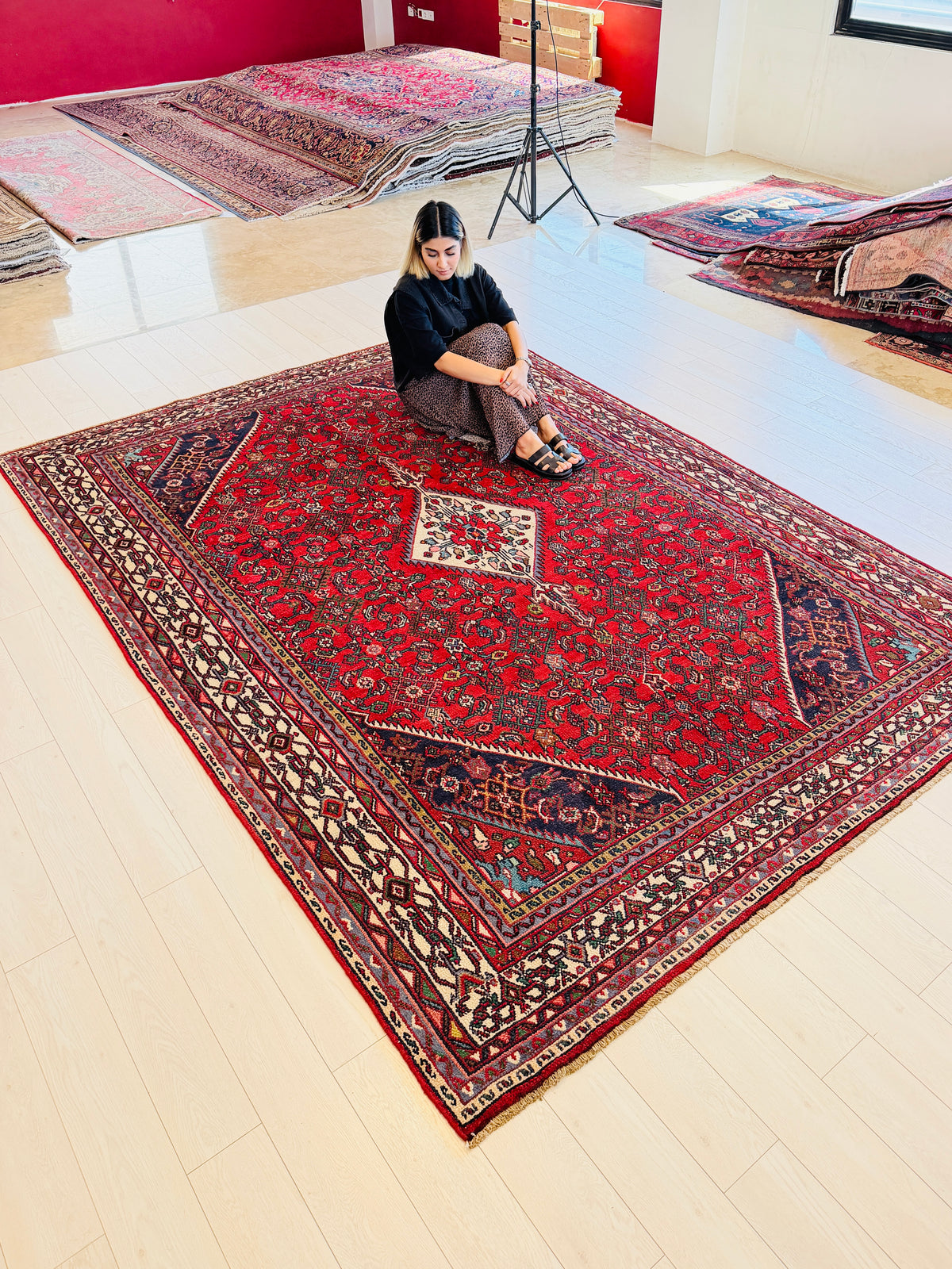 Vintage Red and beige Traditional Rug – 10' 3" x 7' 3" (312 x 222 cm)