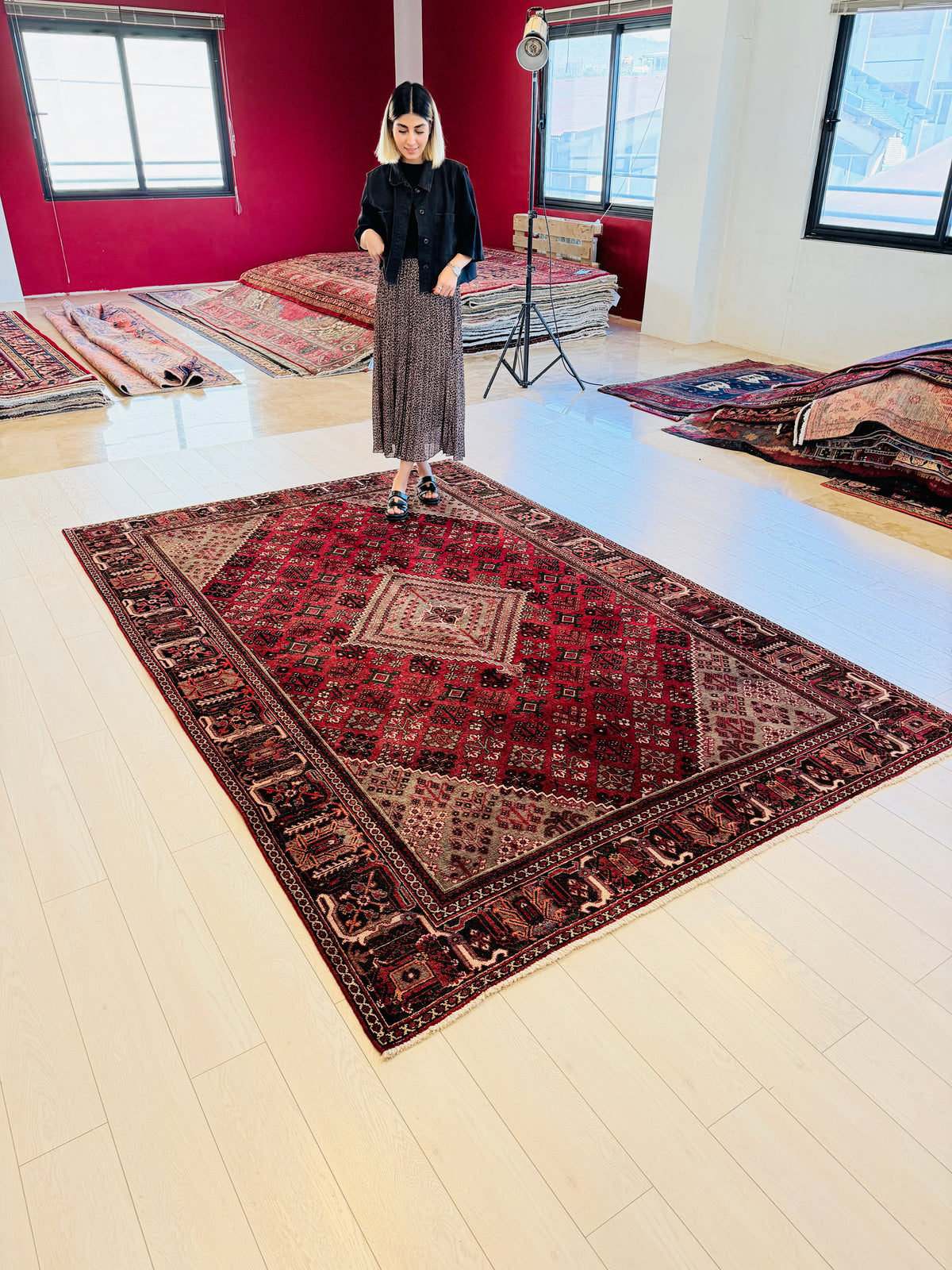Vintage Red and beige Traditional Rug – 9' 8" x 6' 5" (294 x 196 cm)