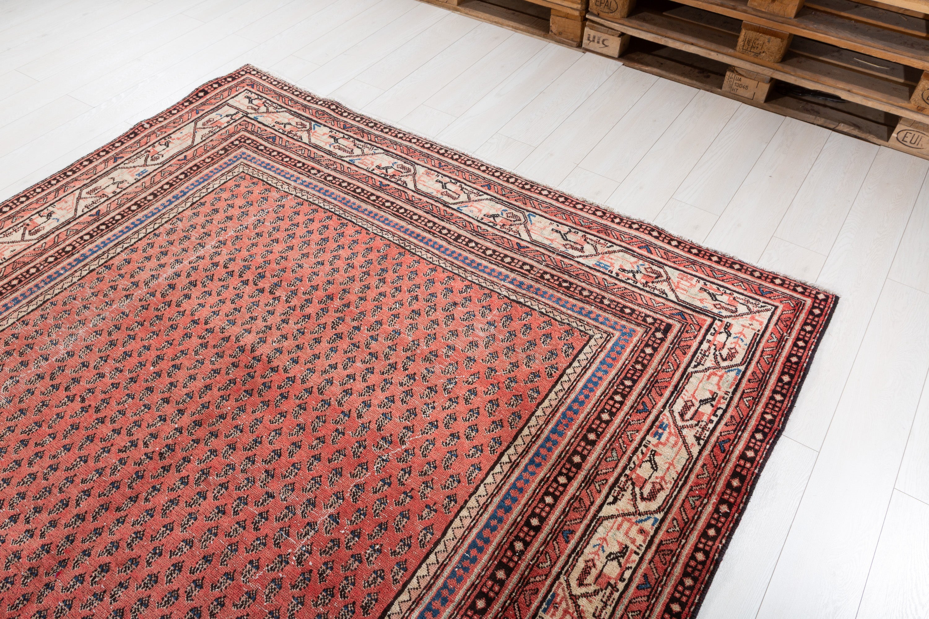 Vintage Red Allover Rug – 10' 0" x 6' 8" (305 x 203 cm)