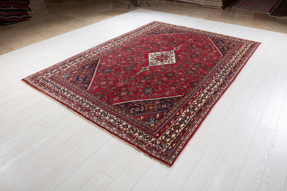 Vintage Red and beige Traditional Rug – 10' 3" x 7' 3" (312 x 222 cm)