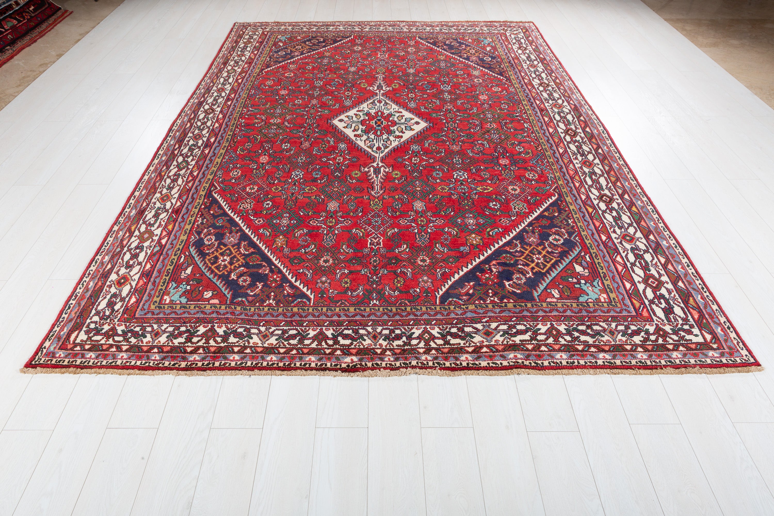 Vintage Red and beige Traditional Rug – 10' 3" x 7' 3" (312 x 222 cm)