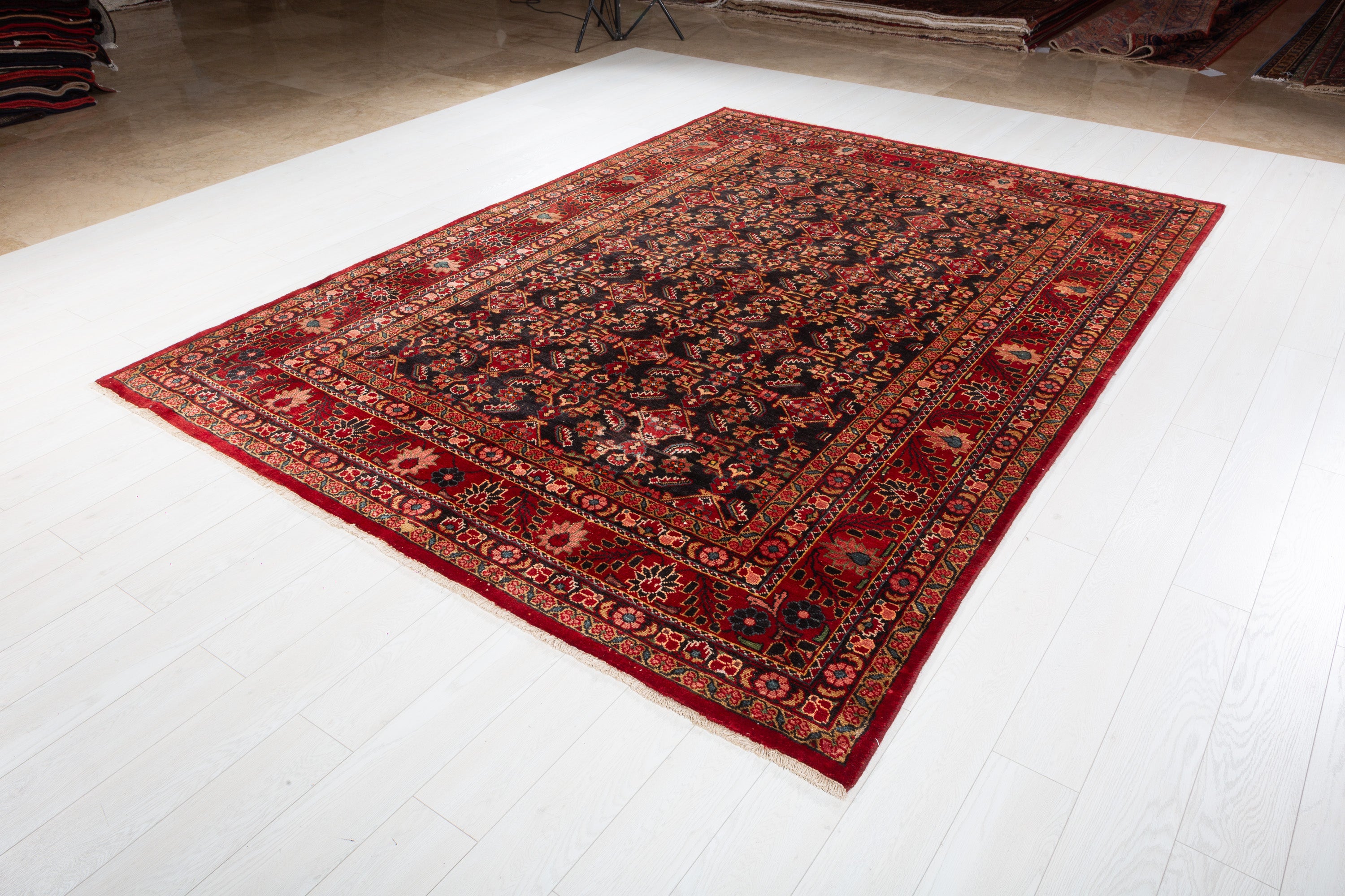 Collectible Vintage Dark navy and red Traditional Rug – 10' 1" x 7' 4" (307 x 224 cm)