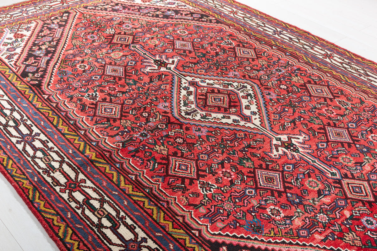 Vintage Red and beige Traditional Rug – 10' 4" x 6' 9" (315 x 205 cm)