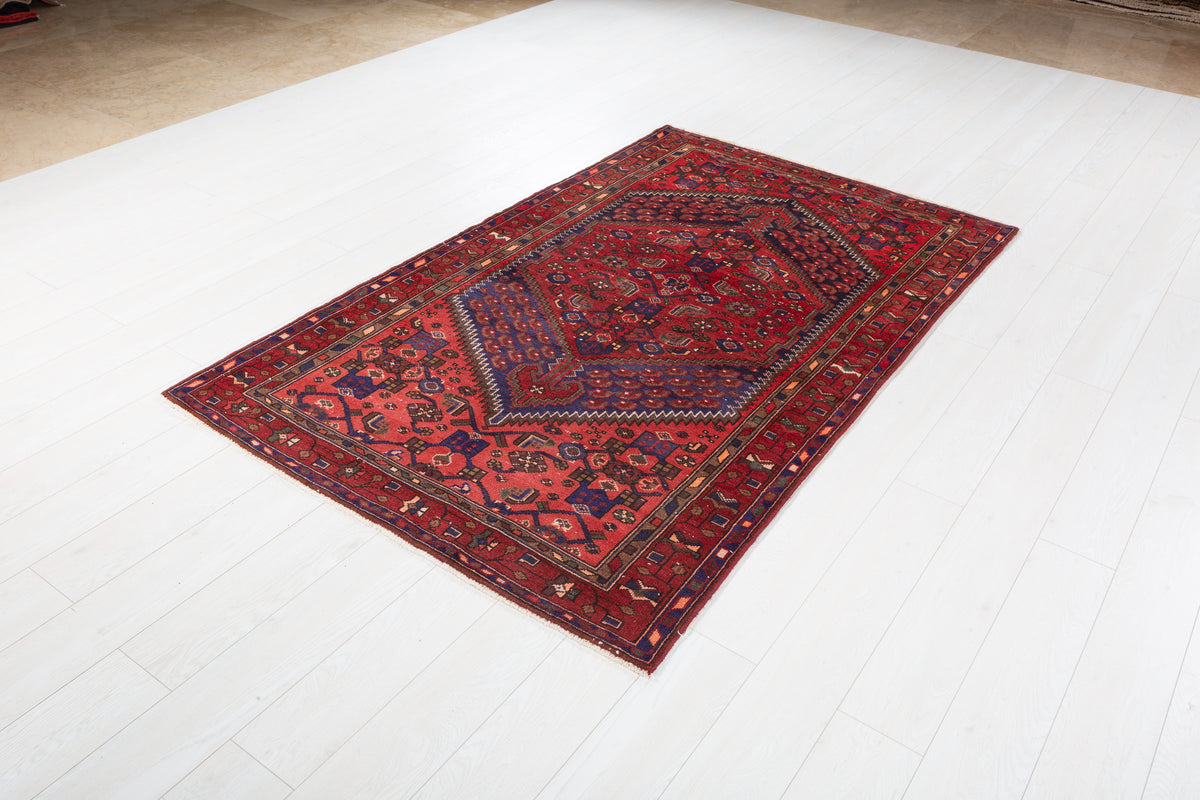 Vintage Red, Coral Central Medallion Area Rug – 6' 10" x 4' 2" (209 x 128 cm)
