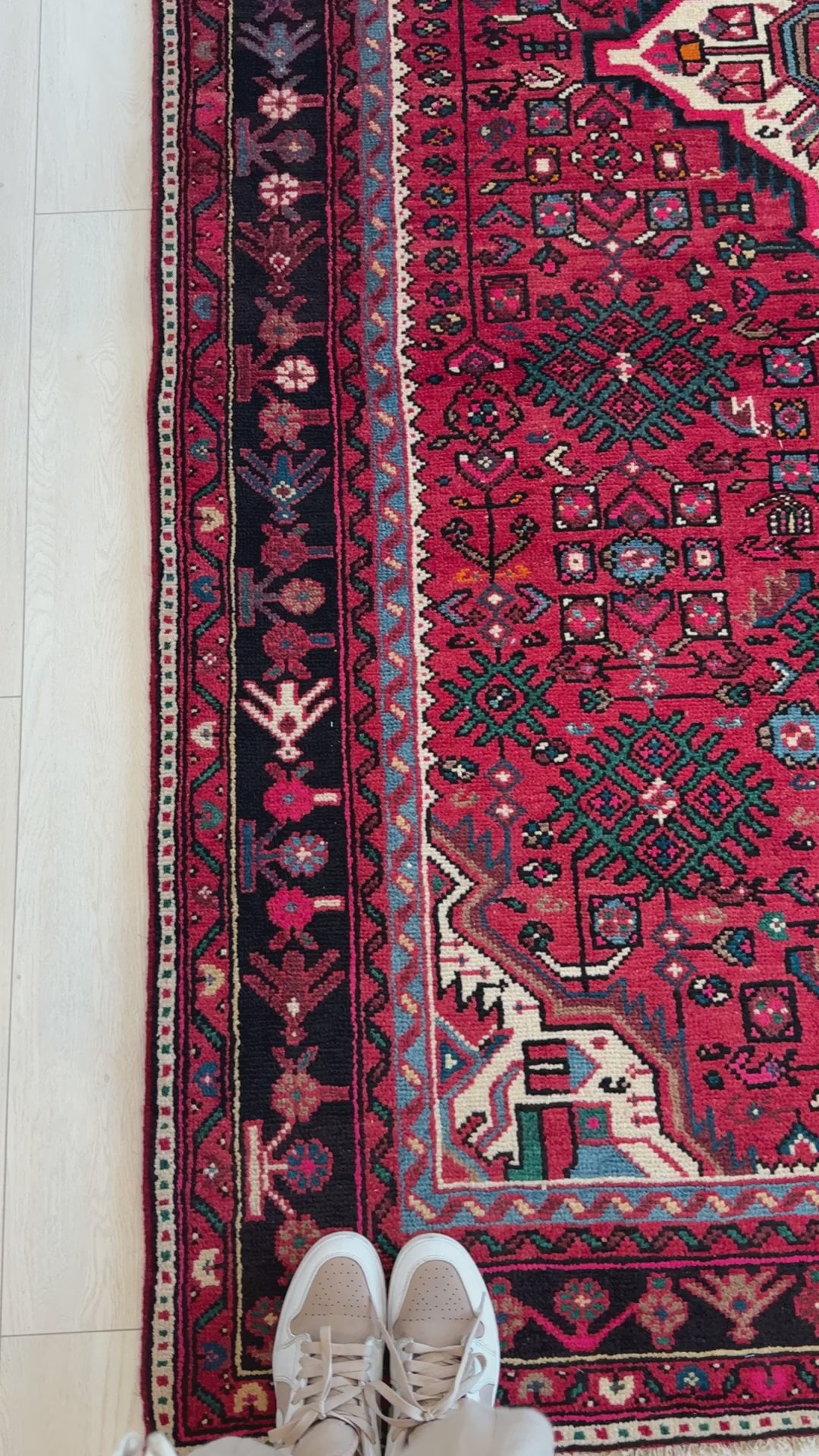 Close-up of Hand-Knotted Vintage Persian Malayer Red Soft Rug corner showing intricate floral border and geometric motifs beside a pair of shoes.