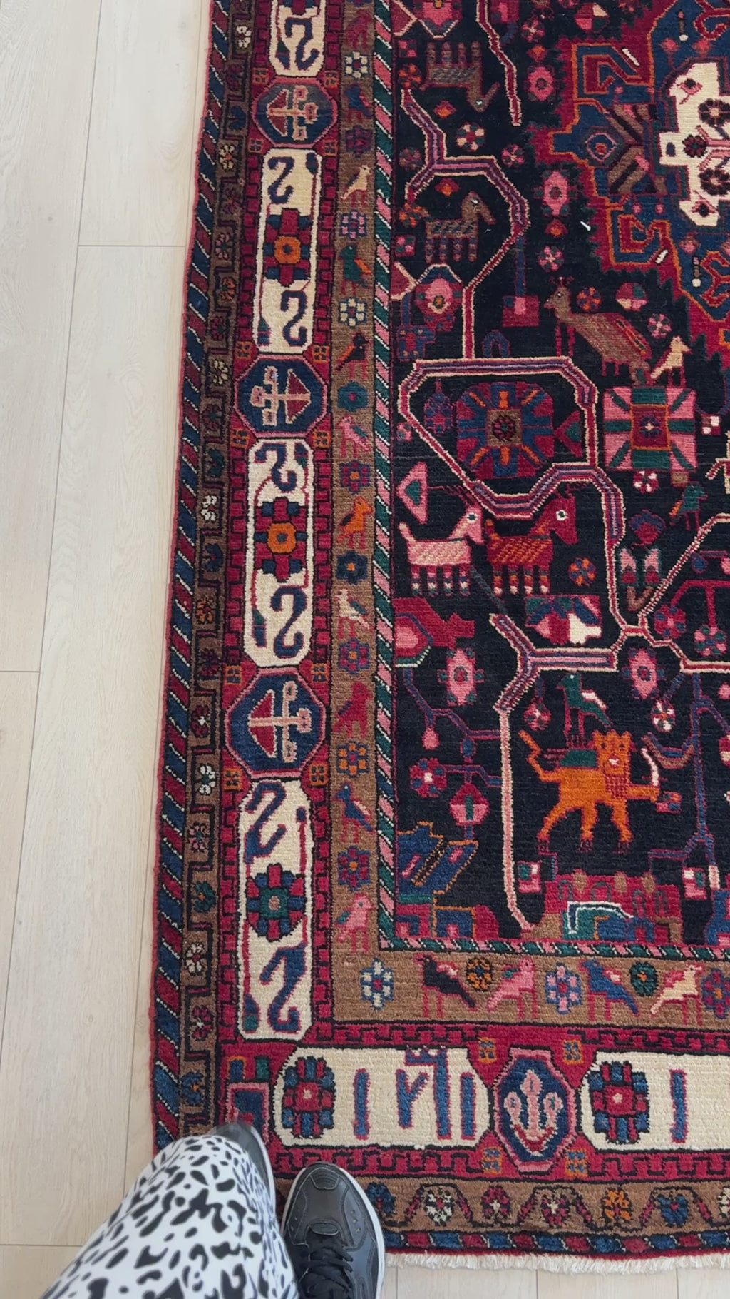 Corner detail of Hand-Knotted Vintage Wool Area Rug – 9' 4" x 5' 3" showing colorful border and fine wool texture, great for traditional decor.