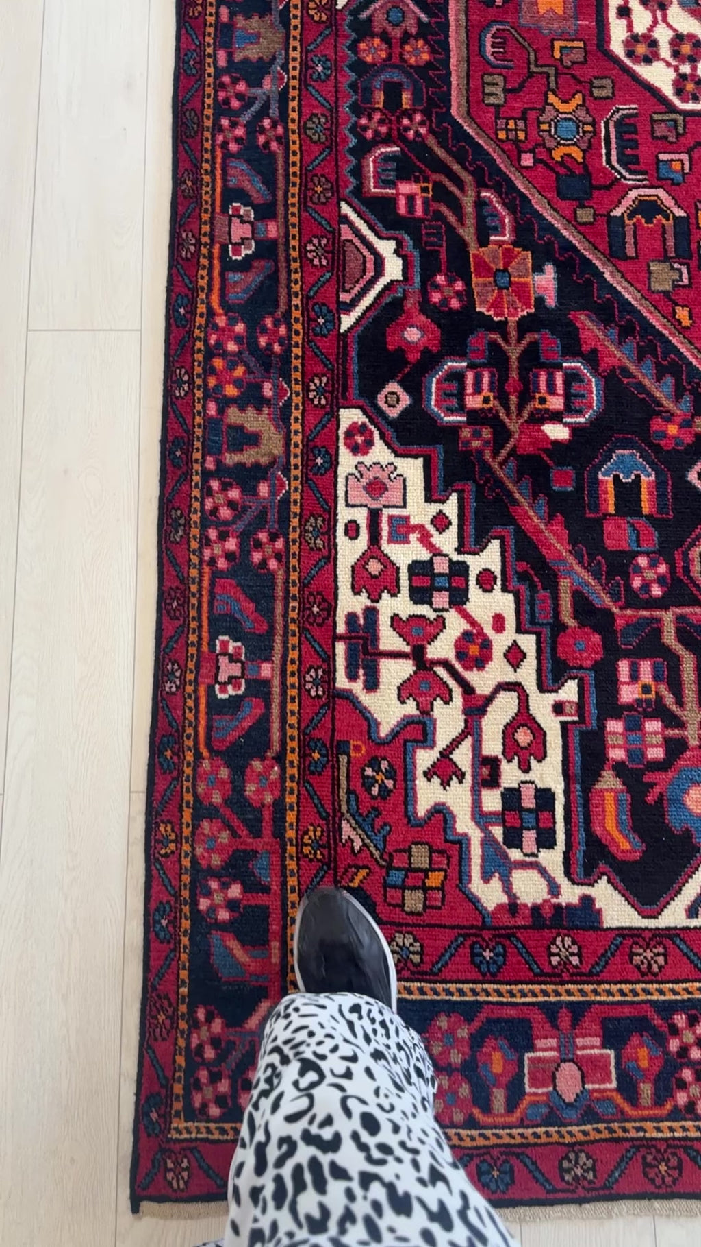 Close-up of foot near corner of hand-knotted vintage wool area rug 10'1 x 5'1, highlighting detailed border and vibrant colors.