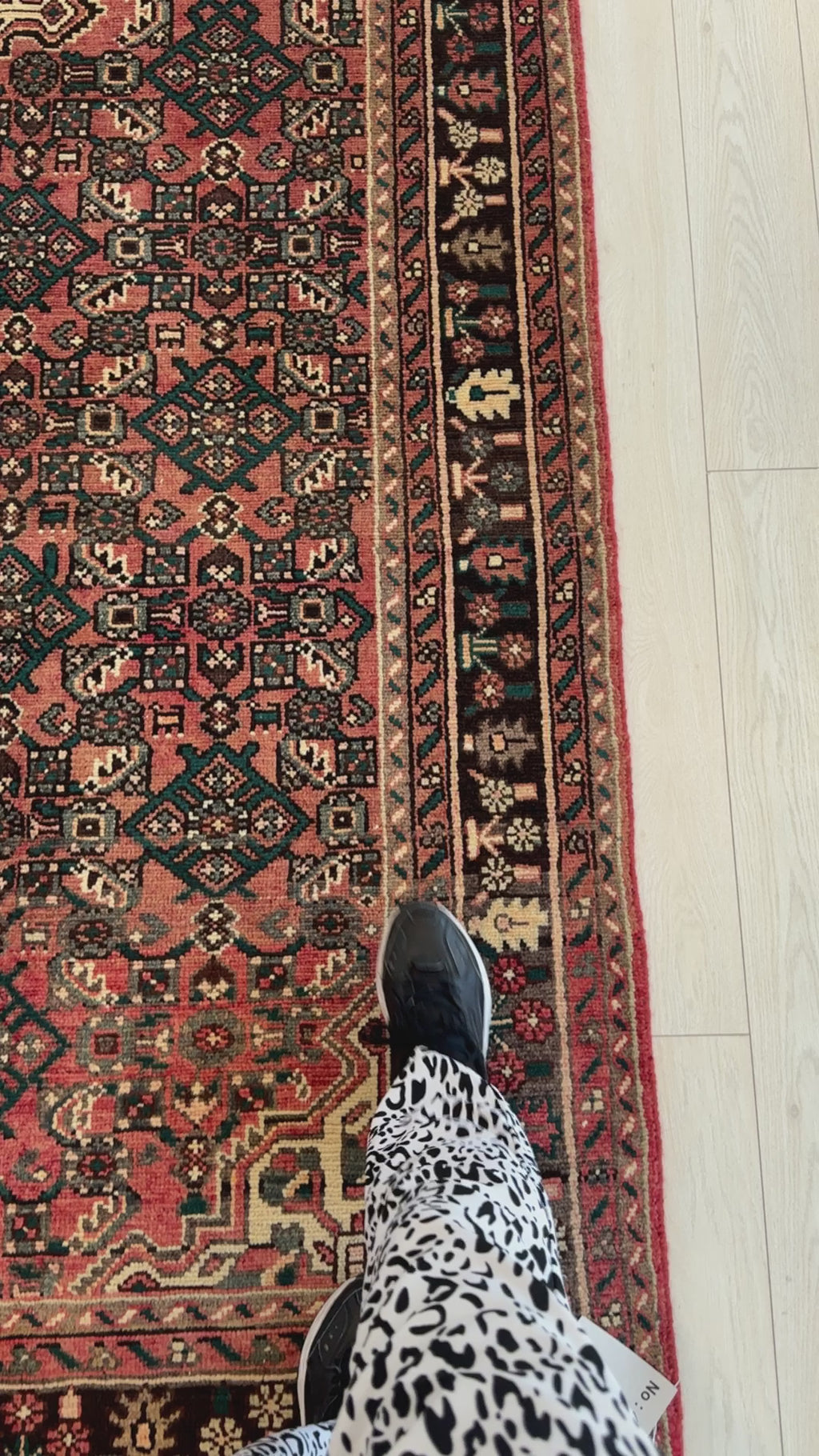 Close-up of hand-knotted Persian Malayer wool rug 5x10 showing detailed red and black border and geometric motifs, perfect for vintage interiors.