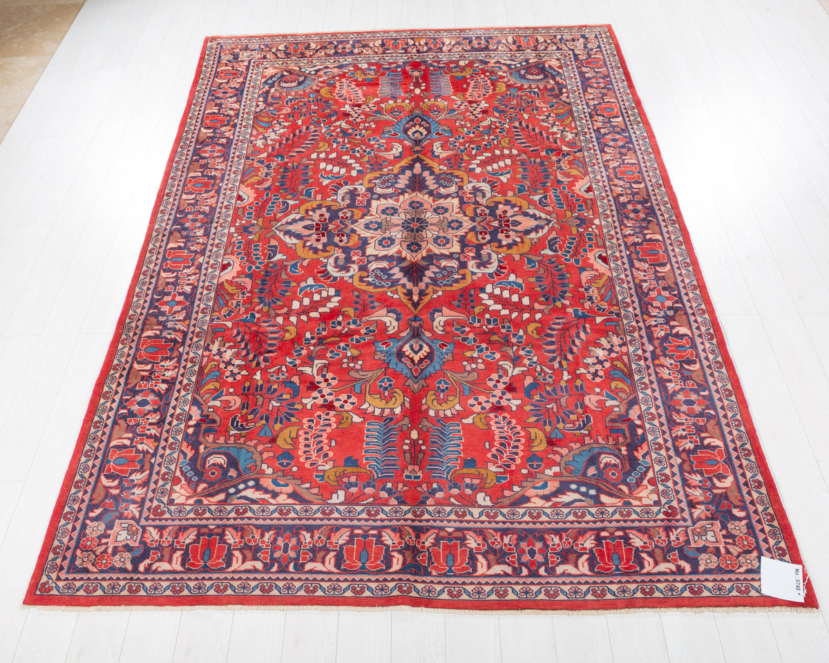 Vintage Lihlian Red and blue Floral Rug, 7x10 – 10' 3" x 7' 2" (313 x 218 cm) – main view